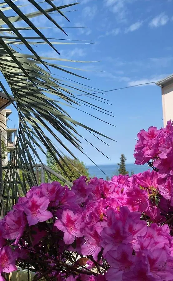 Iberia 2019 Hotel Batumi