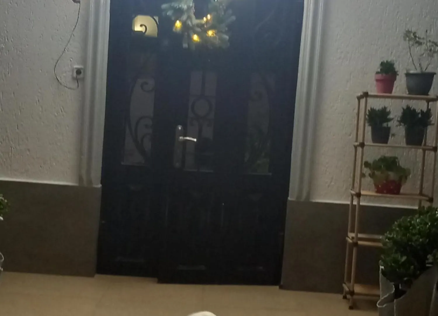 Guest house Iberia 2019 Hotel Batumi Georgia