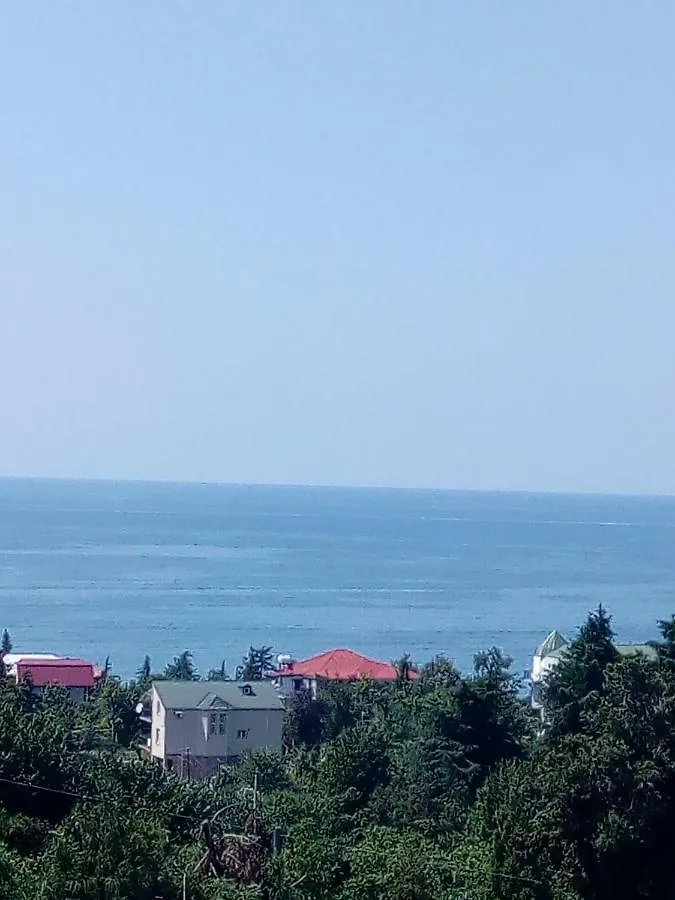 Iberia 2019 Hotel Batumi